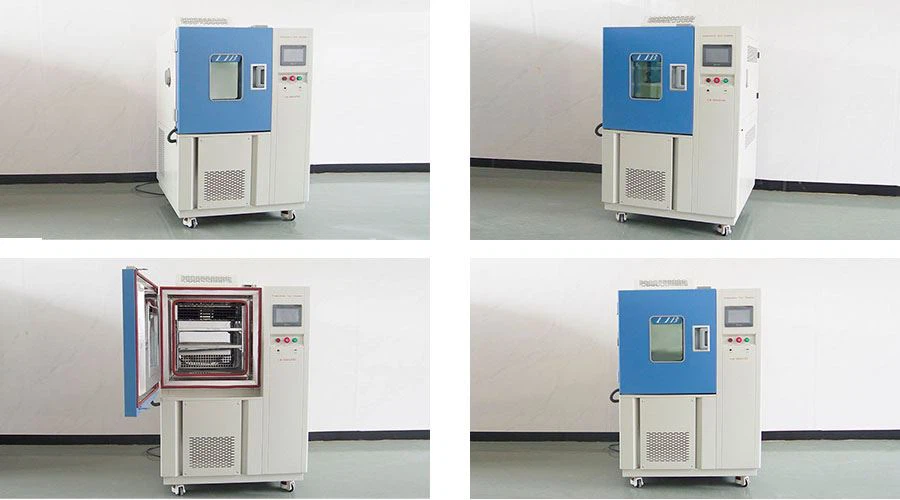 Cold Low Temperature Freezer (1)